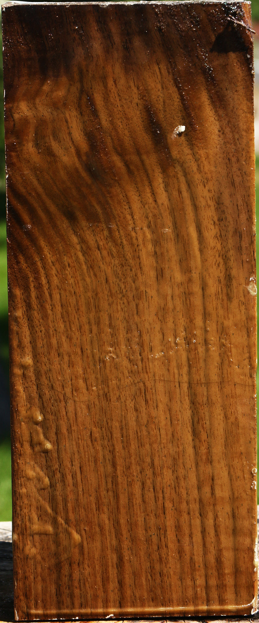 Figured Claro Walnut Vessel Blank