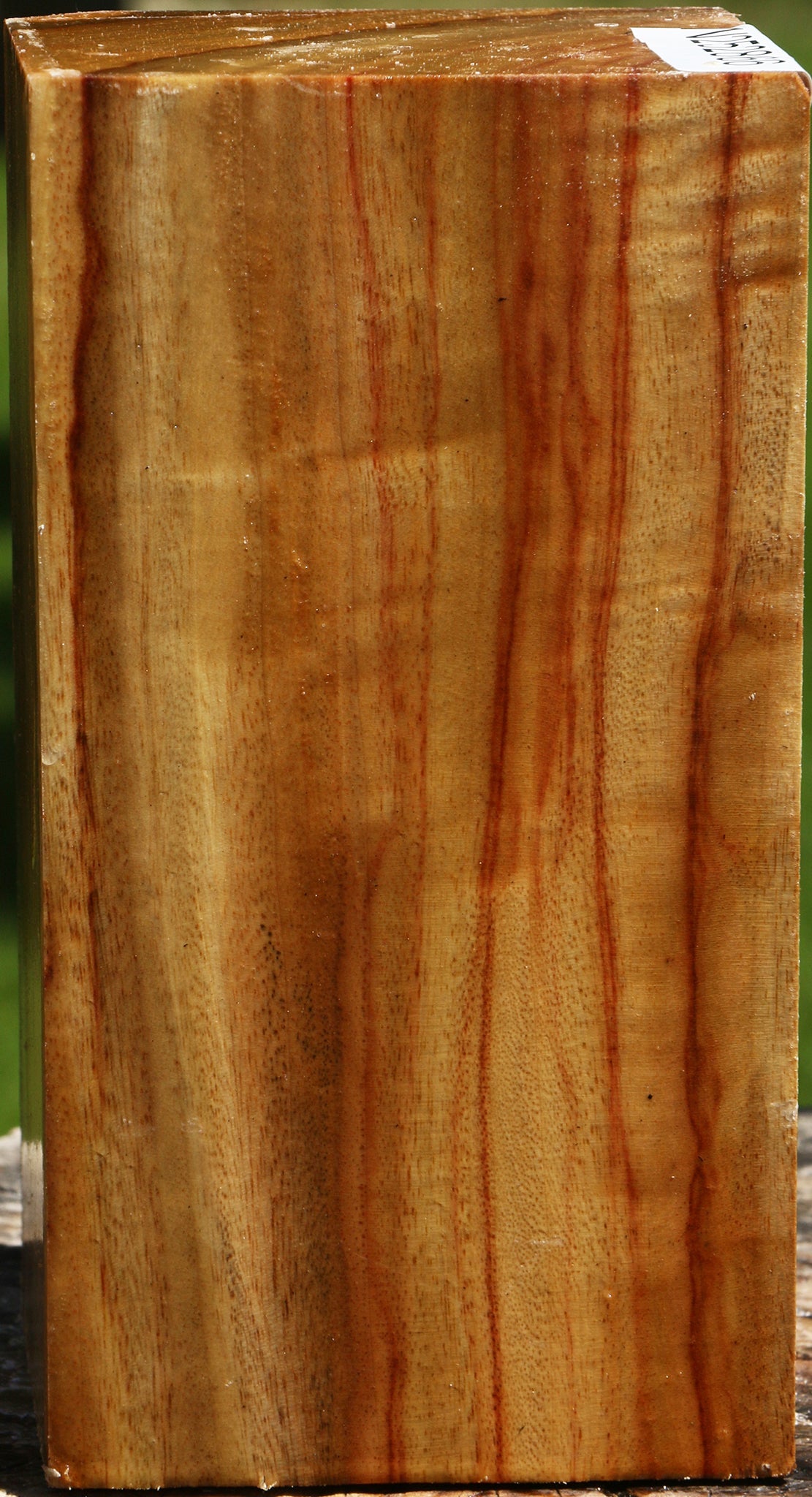 Camphor Turning Square
