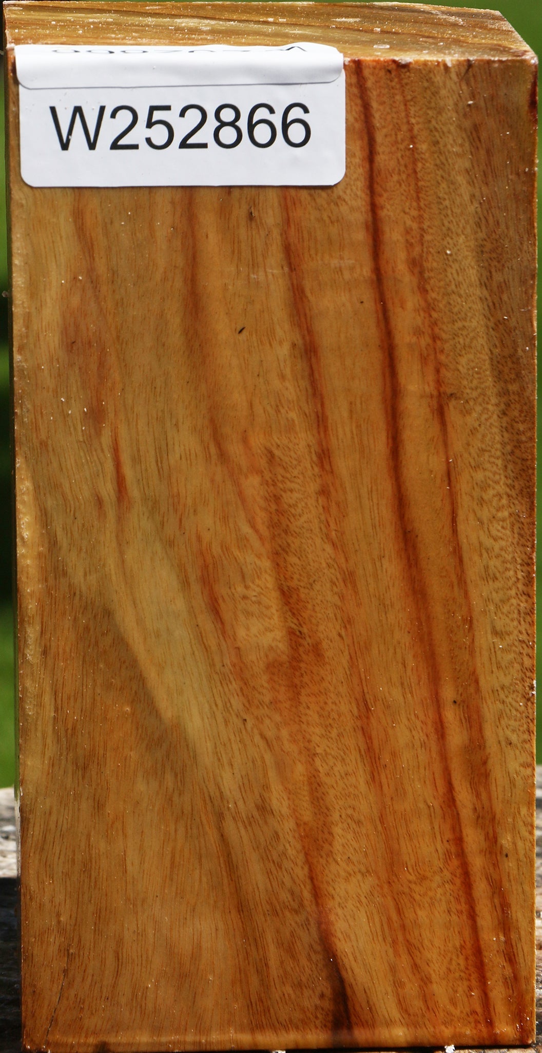 Camphor Turning Square