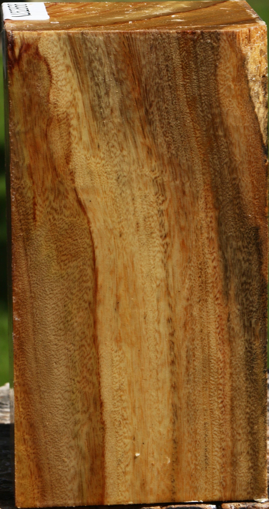 Camphor Turning Square