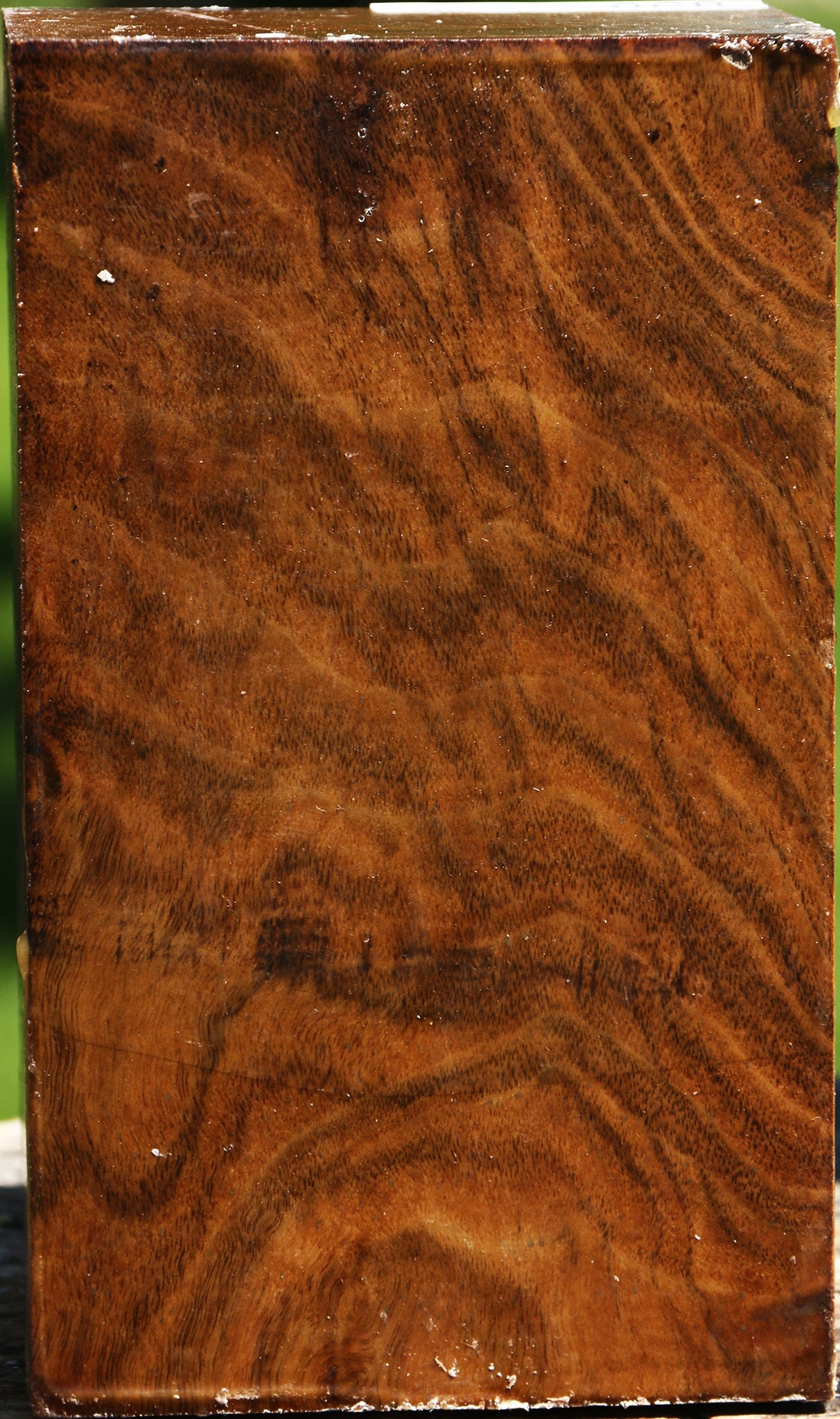 Figured Claro Walnut Turning Square