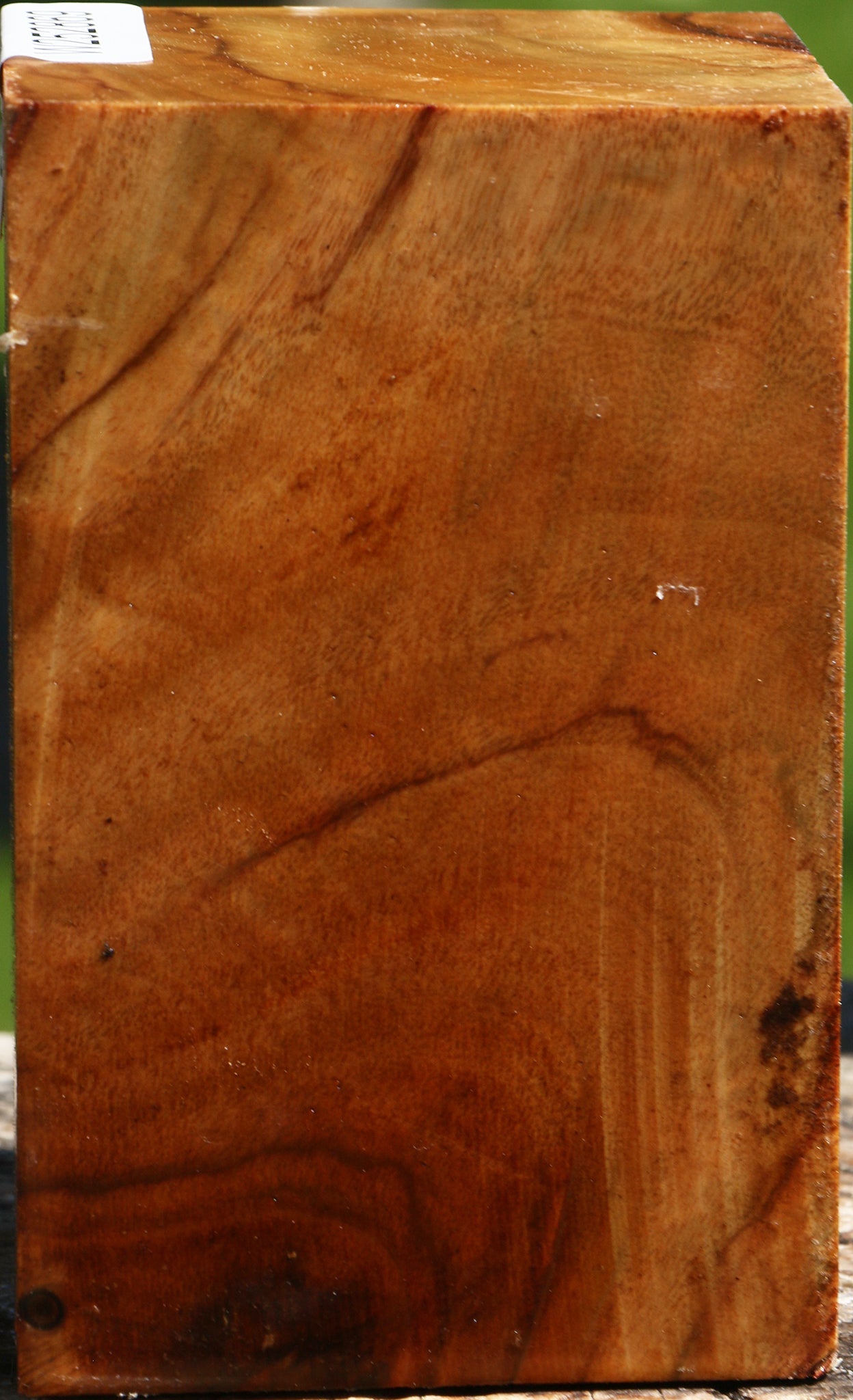 Camphor Turning Square