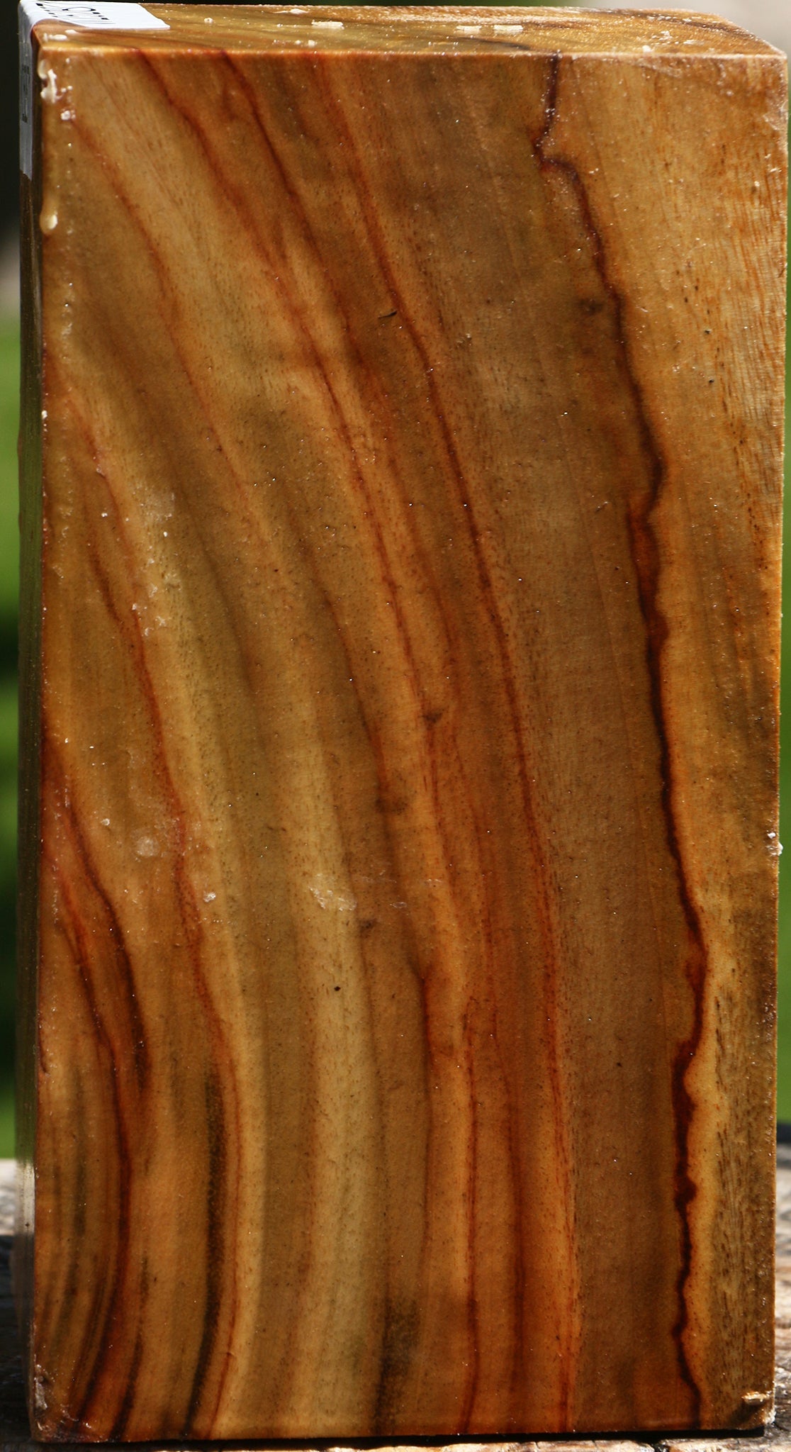 Camphor Turning Square