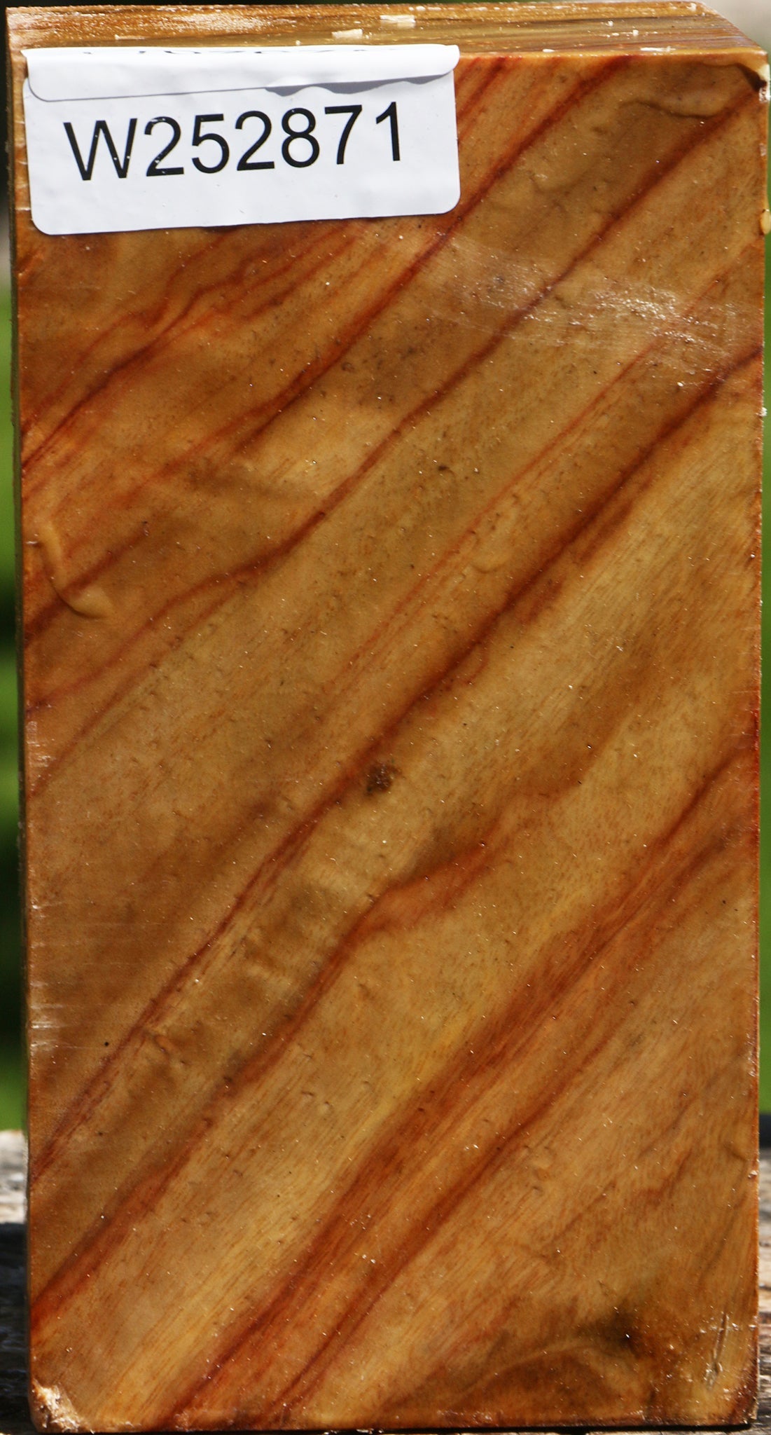 Camphor Turning Square