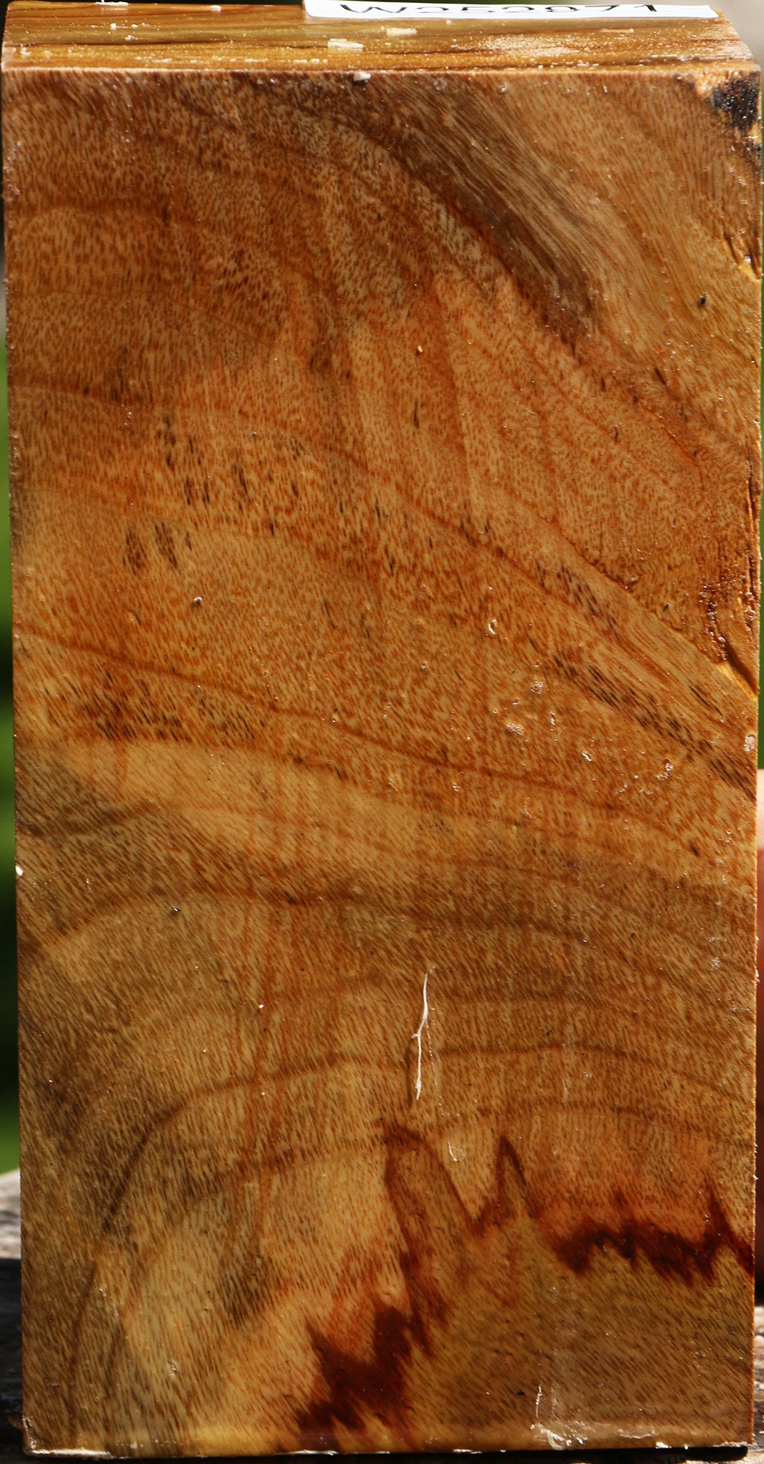 Camphor Turning Square