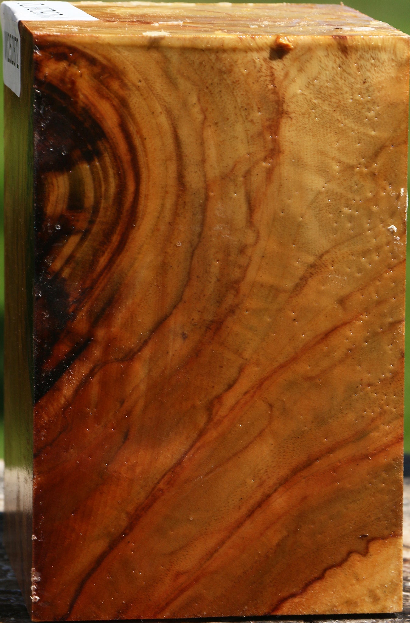 Extra Fancy Camphor Turning Square