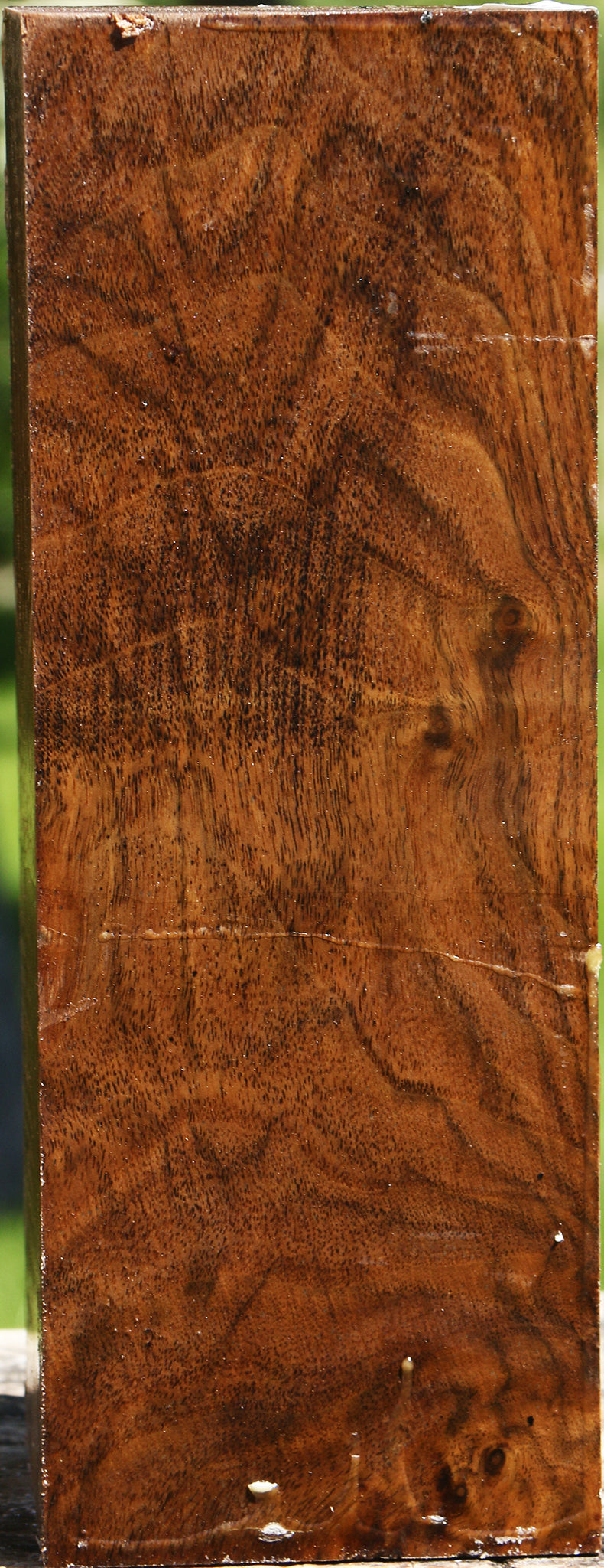 Figured Claro Walnut Vessel Blank