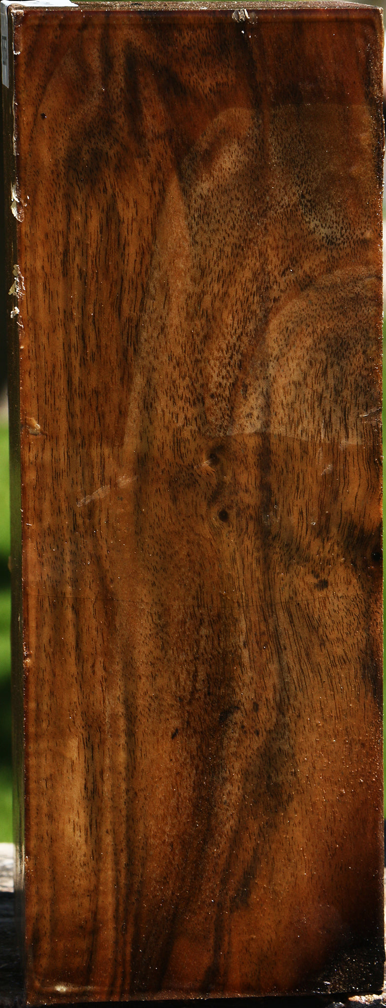 Figured Claro Walnut Vessel Blank