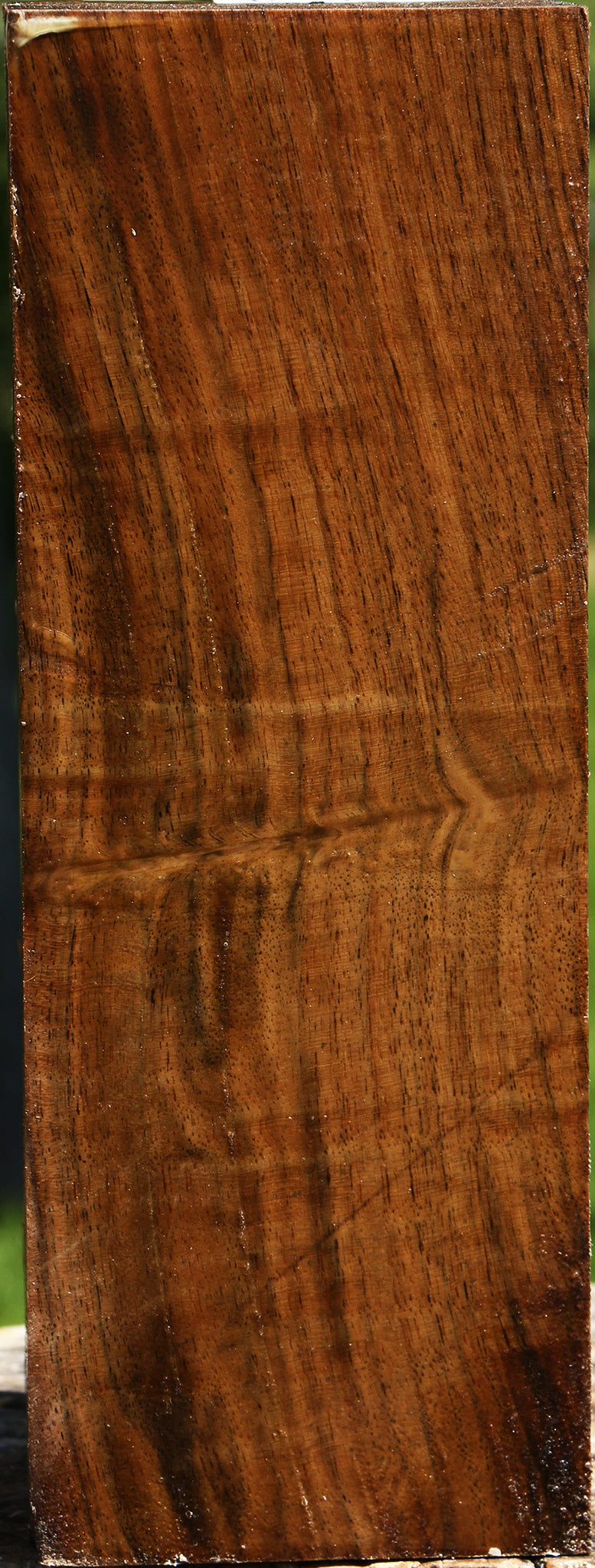 Figured Claro Walnut Vessel Blank