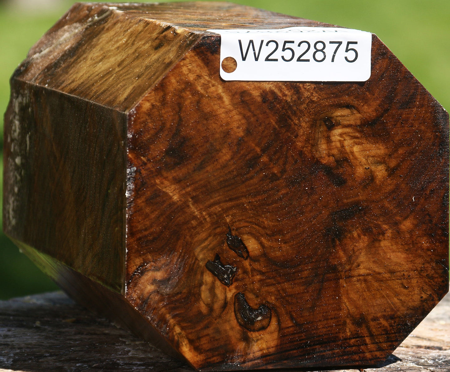 Extra Fancy Claro Walnut Vessel Blank