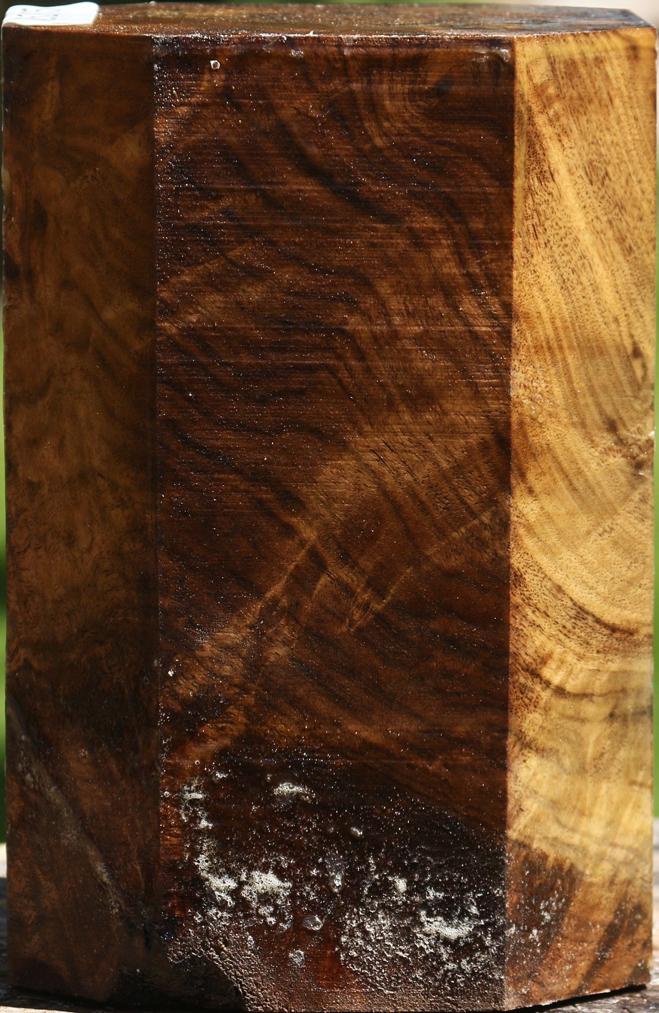 Extra Fancy Claro Walnut Vessel Blank