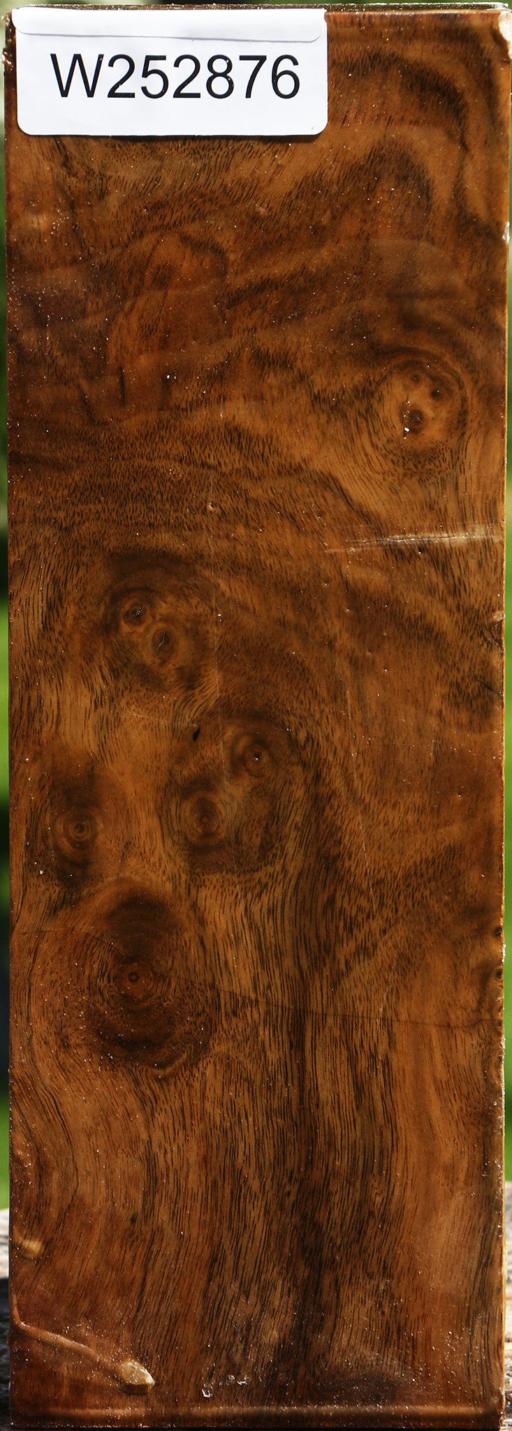 Figured Claro Walnut Vessel Blank