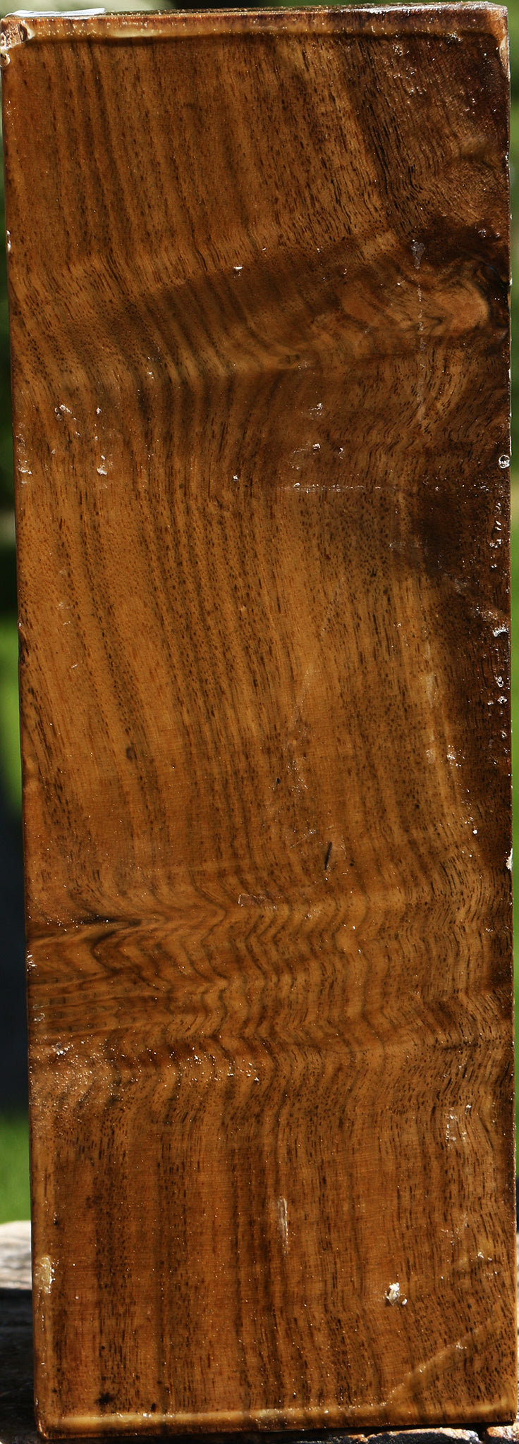 Figured Claro Walnut Vessel Blank