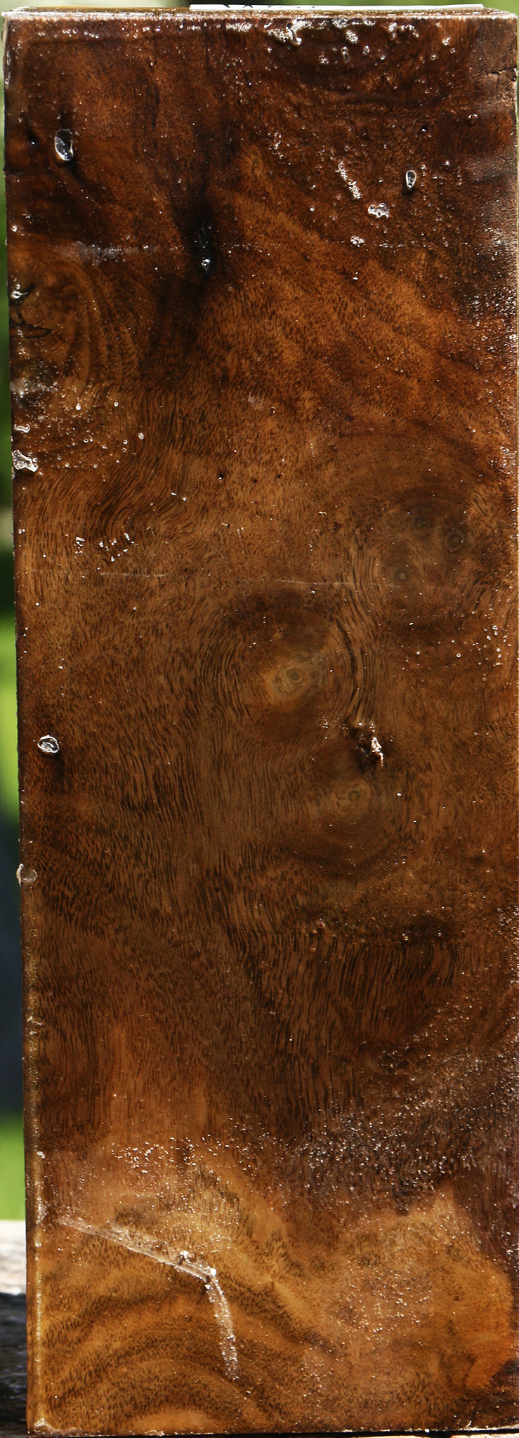 Figured Claro Walnut Vessel Blank