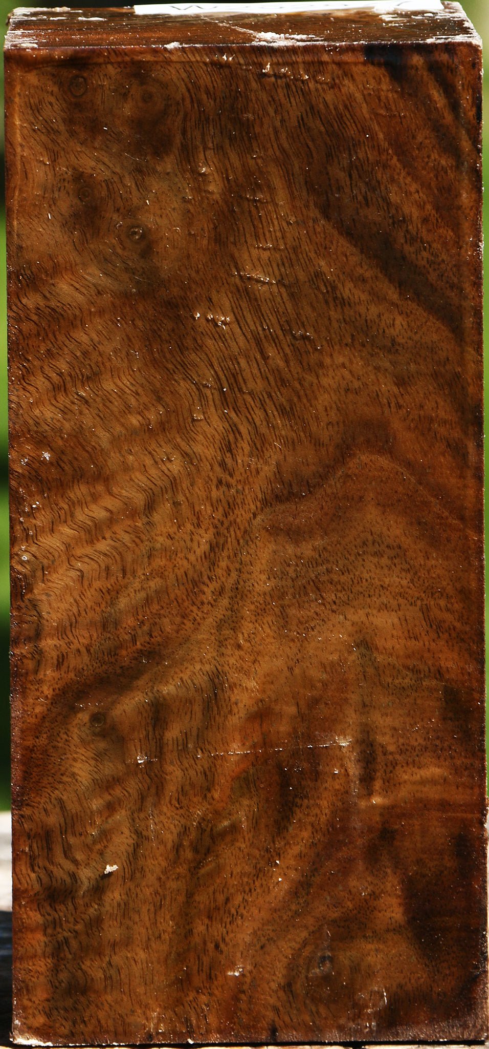 Extra Fancy Claro Walnut Turning Square
