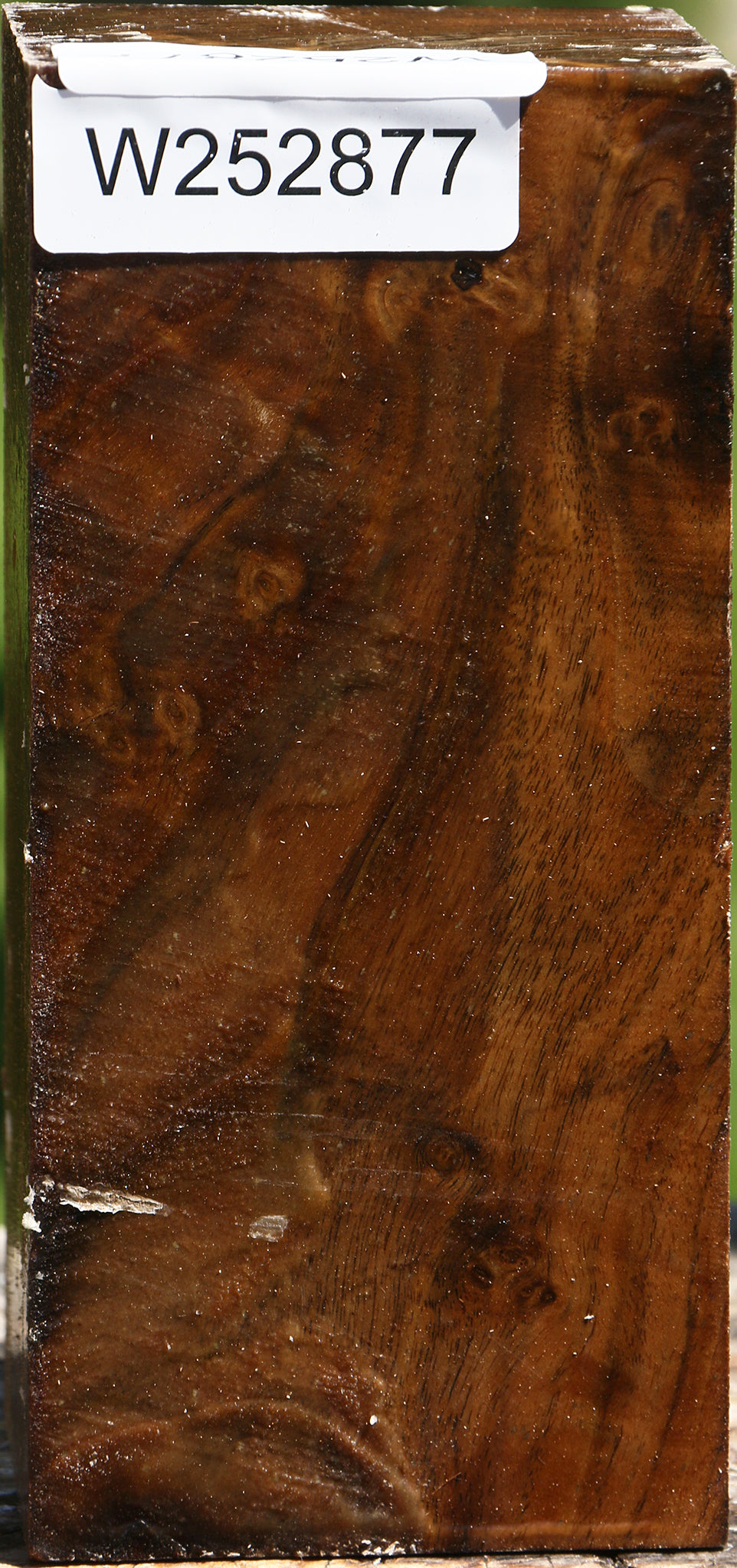 Extra Fancy Claro Walnut Turning Square