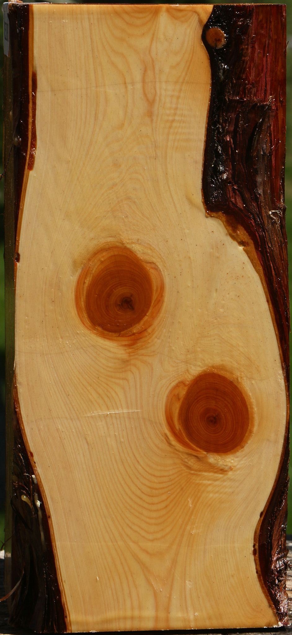 Juniper Live Edge Vessel Blank