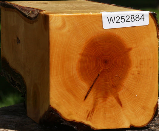 Juniper Live Edge Vessel Blank