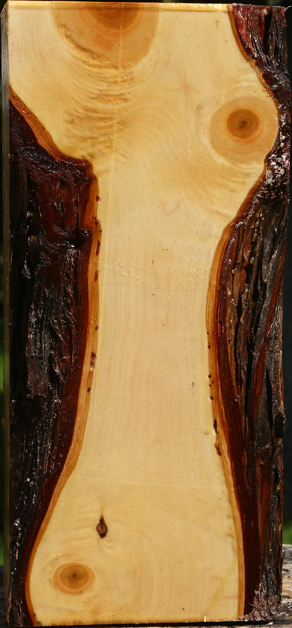 Juniper Live Edge Vessel Blank