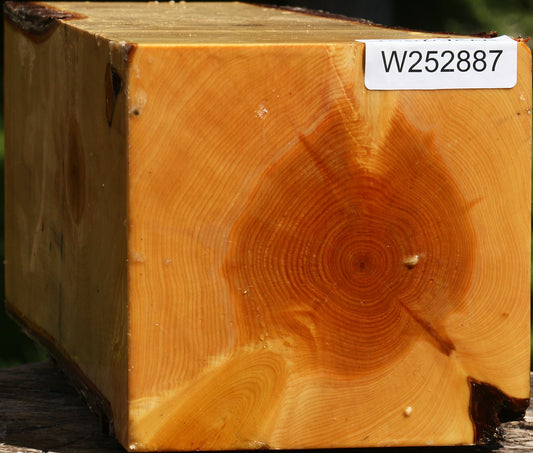 Juniper Live Edge Vessel Blank