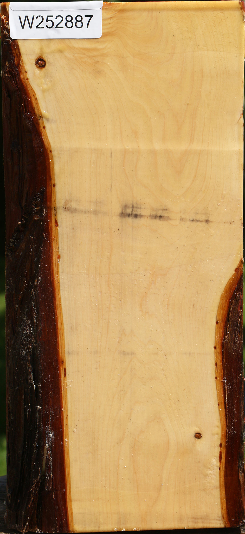 Juniper Live Edge Vessel Blank