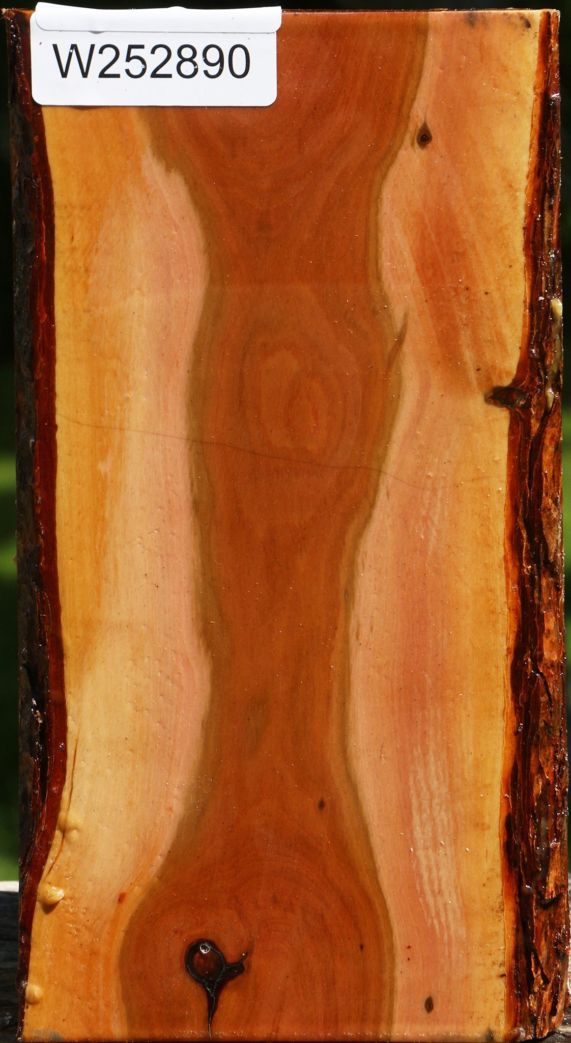 Oregon Ironwood Live Edge Vessel Blank