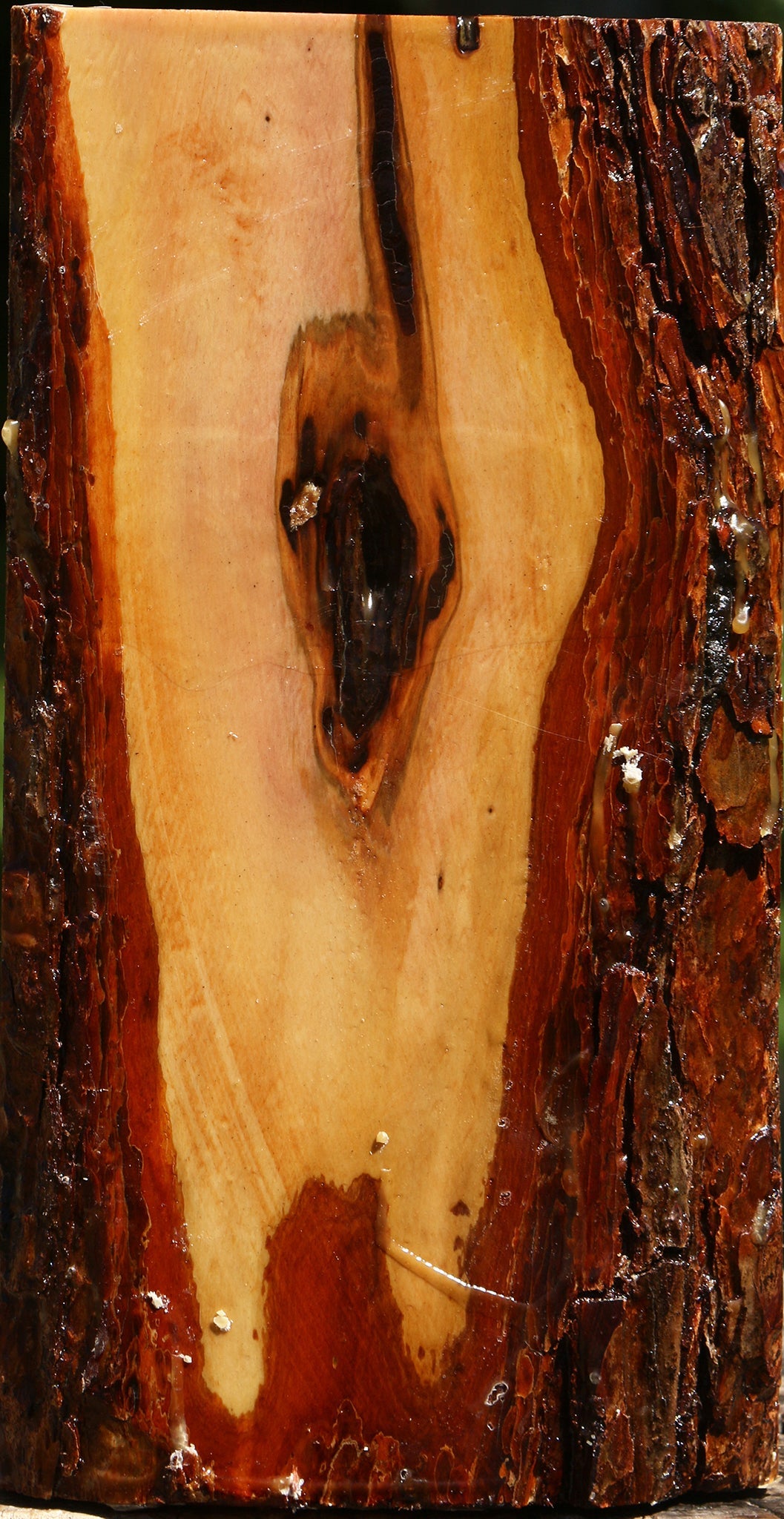 Oregon Ironwood Live Edge Vessel Blank