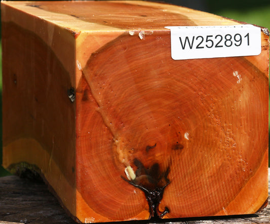 Oregon Ironwood Live Edge Vessel Blank