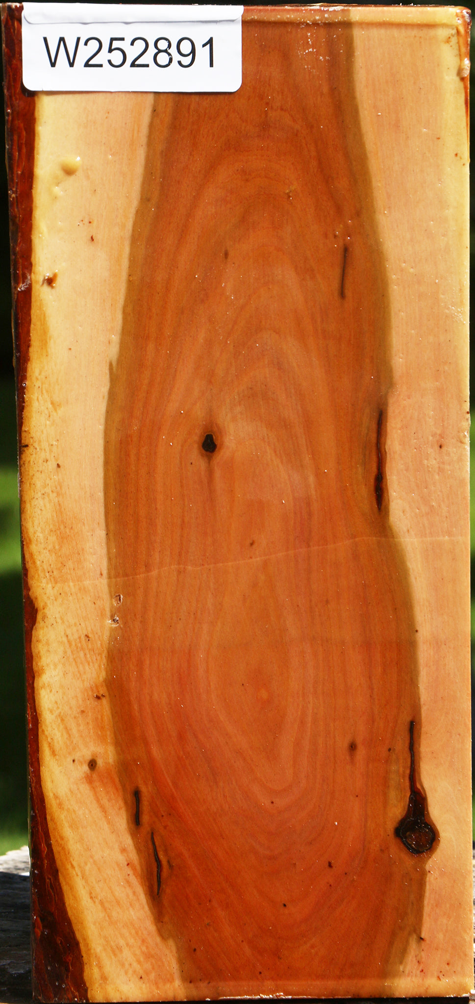 Oregon Ironwood Live Edge Vessel Blank