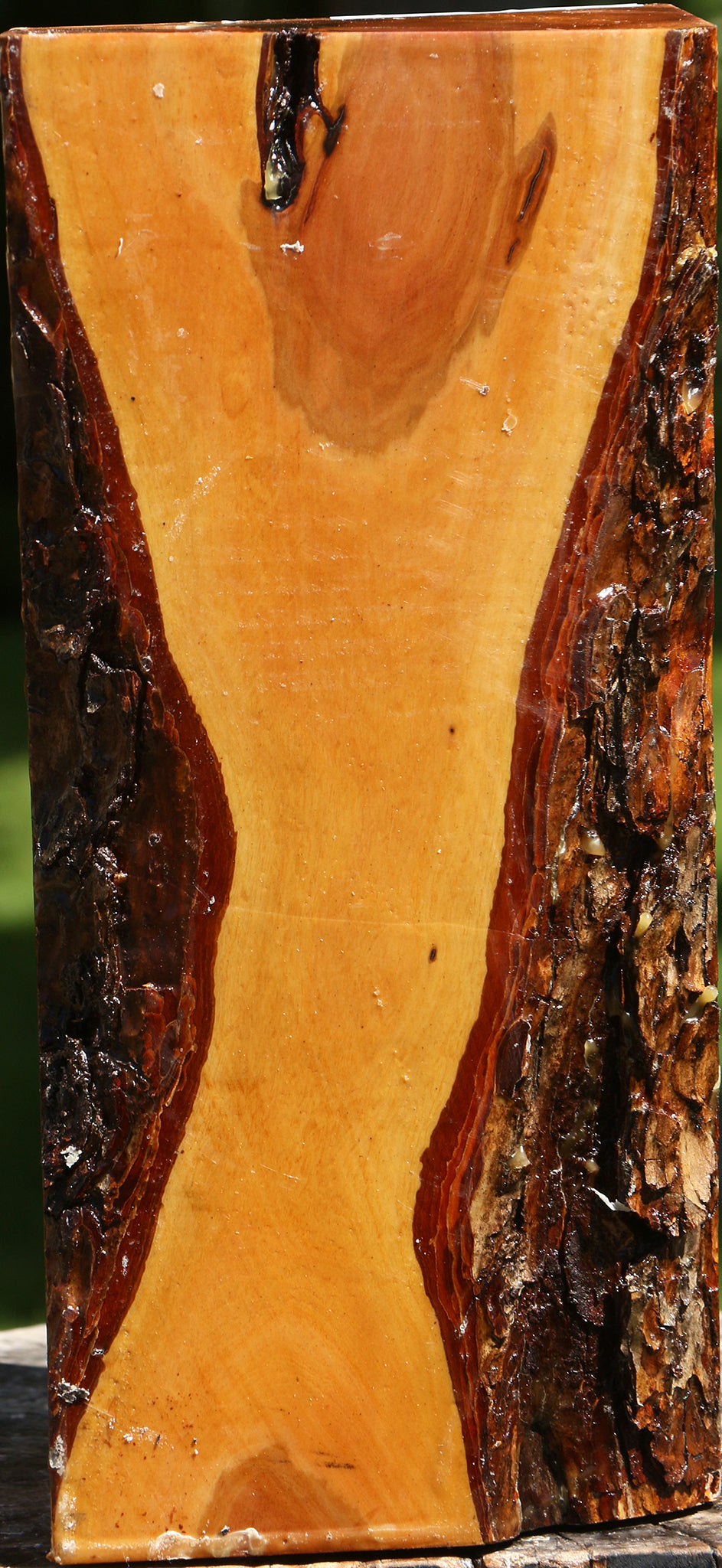 Oregon Ironwood Live Edge Vessel Blank