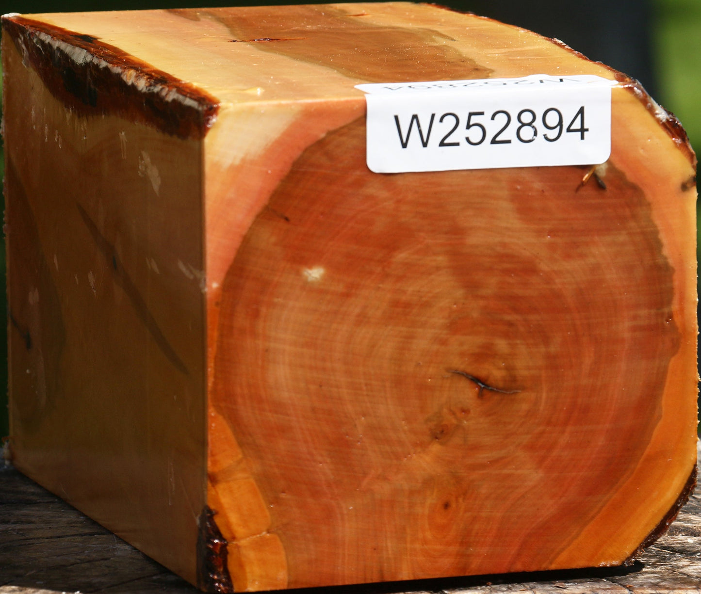 Oregon Ironwood Live Edge Vessel Blank