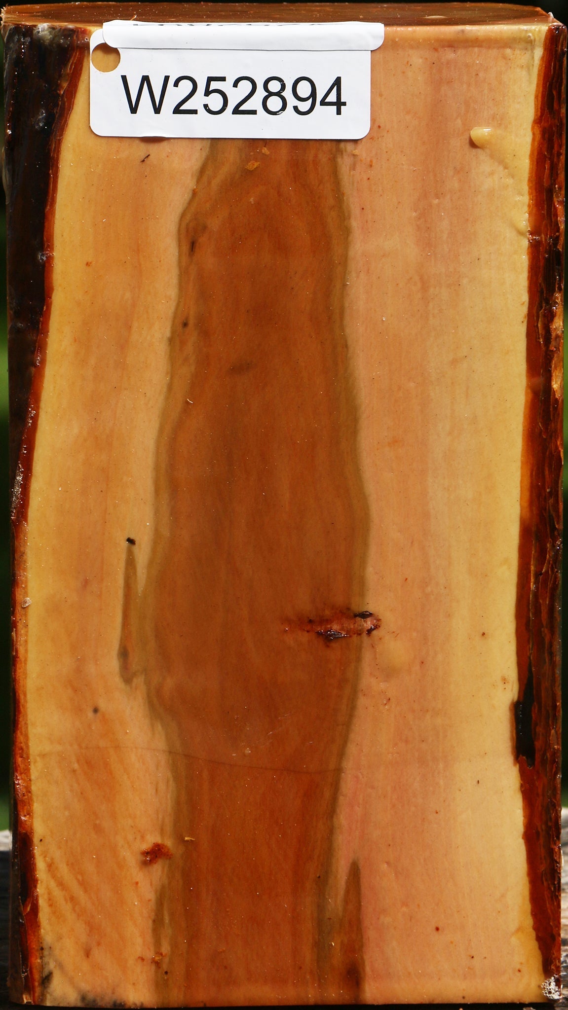 Oregon Ironwood Live Edge Vessel Blank