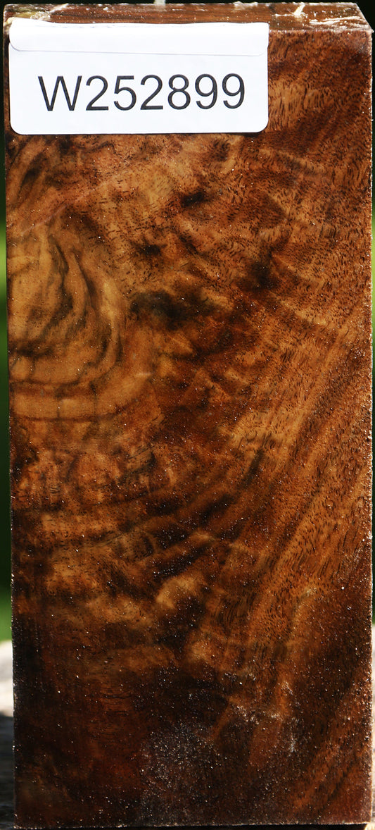 Extra Fancy Crotchwood Claro Walnut Turning Square