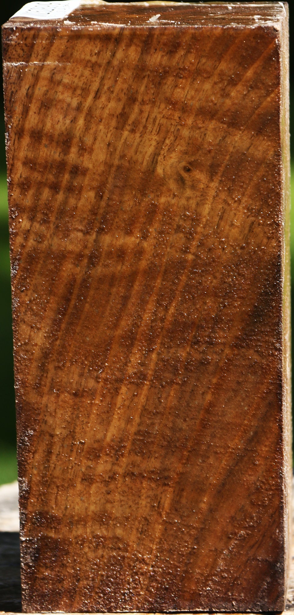 Extra Fancy Crotchwood Claro Walnut Turning Square