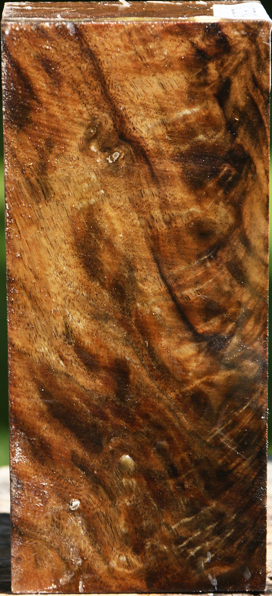 Extra Fancy Crotchwood Claro Walnut Turning Square