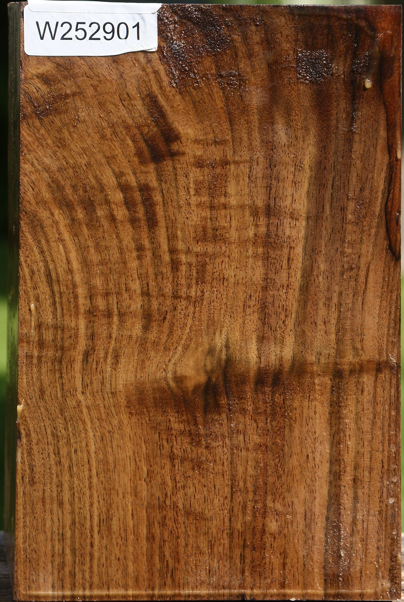Figured Claro Walnut Vessel Blank