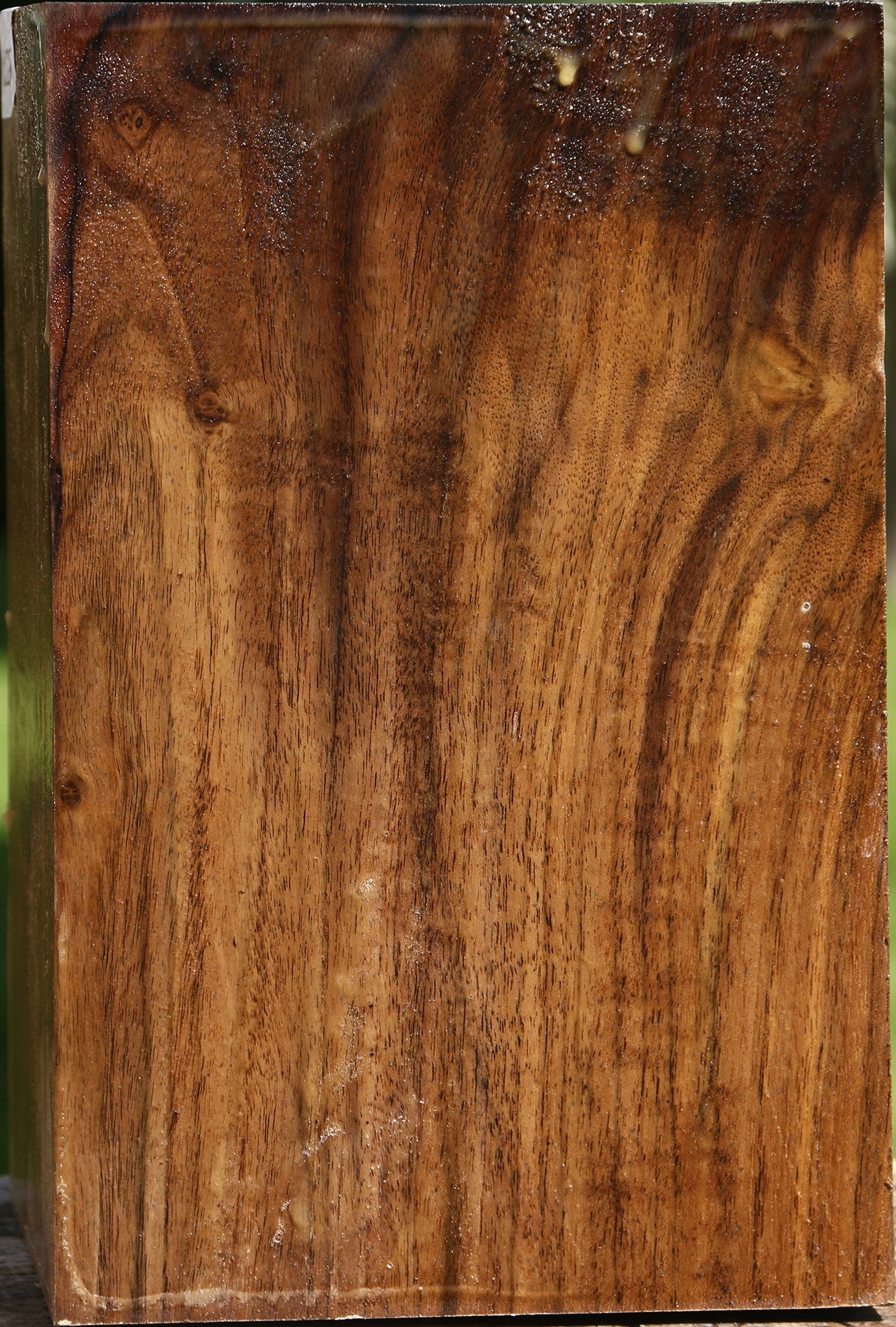 Figured Claro Walnut Vessel Blank