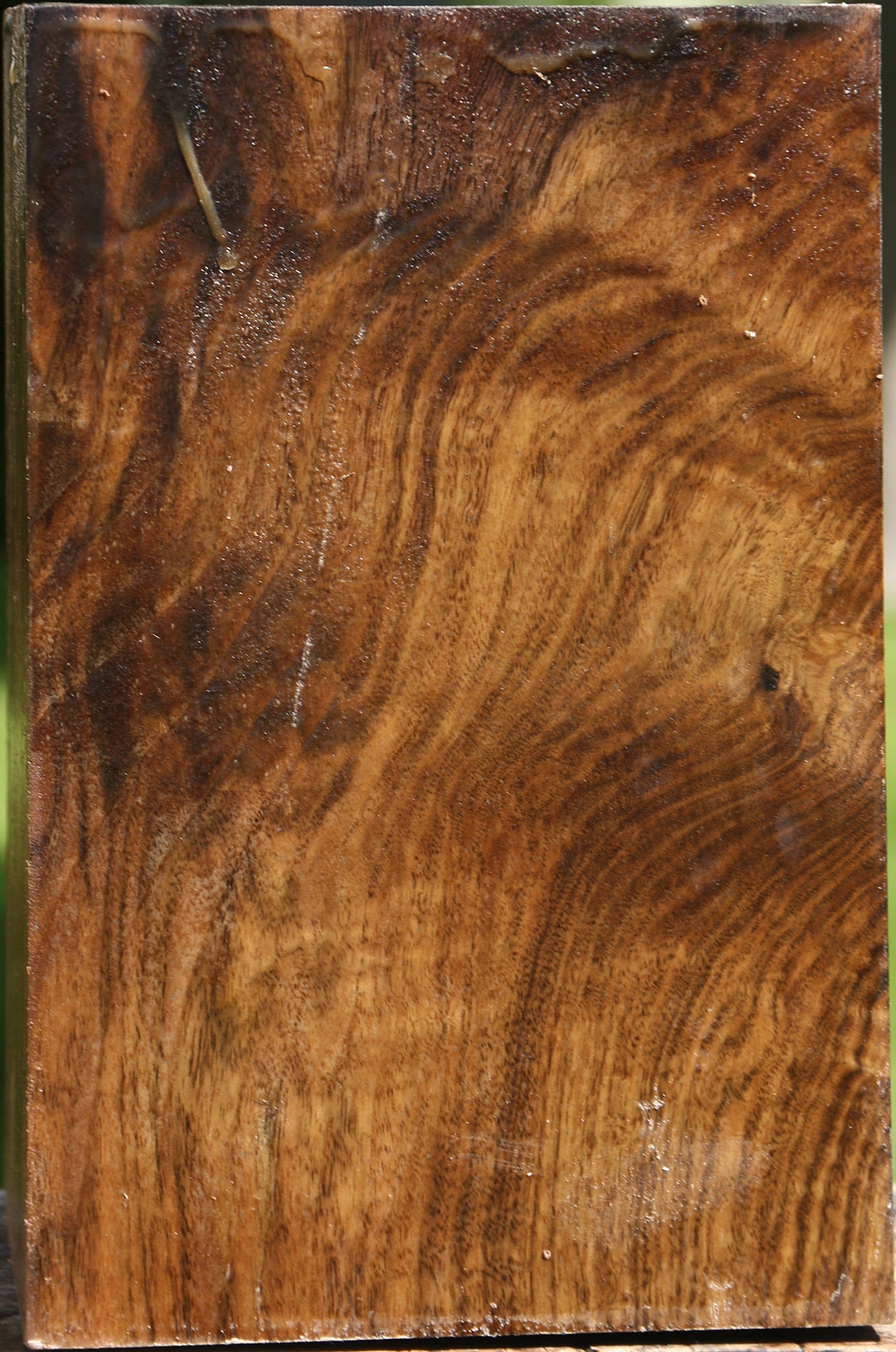 Figured Claro Walnut Vessel Blank