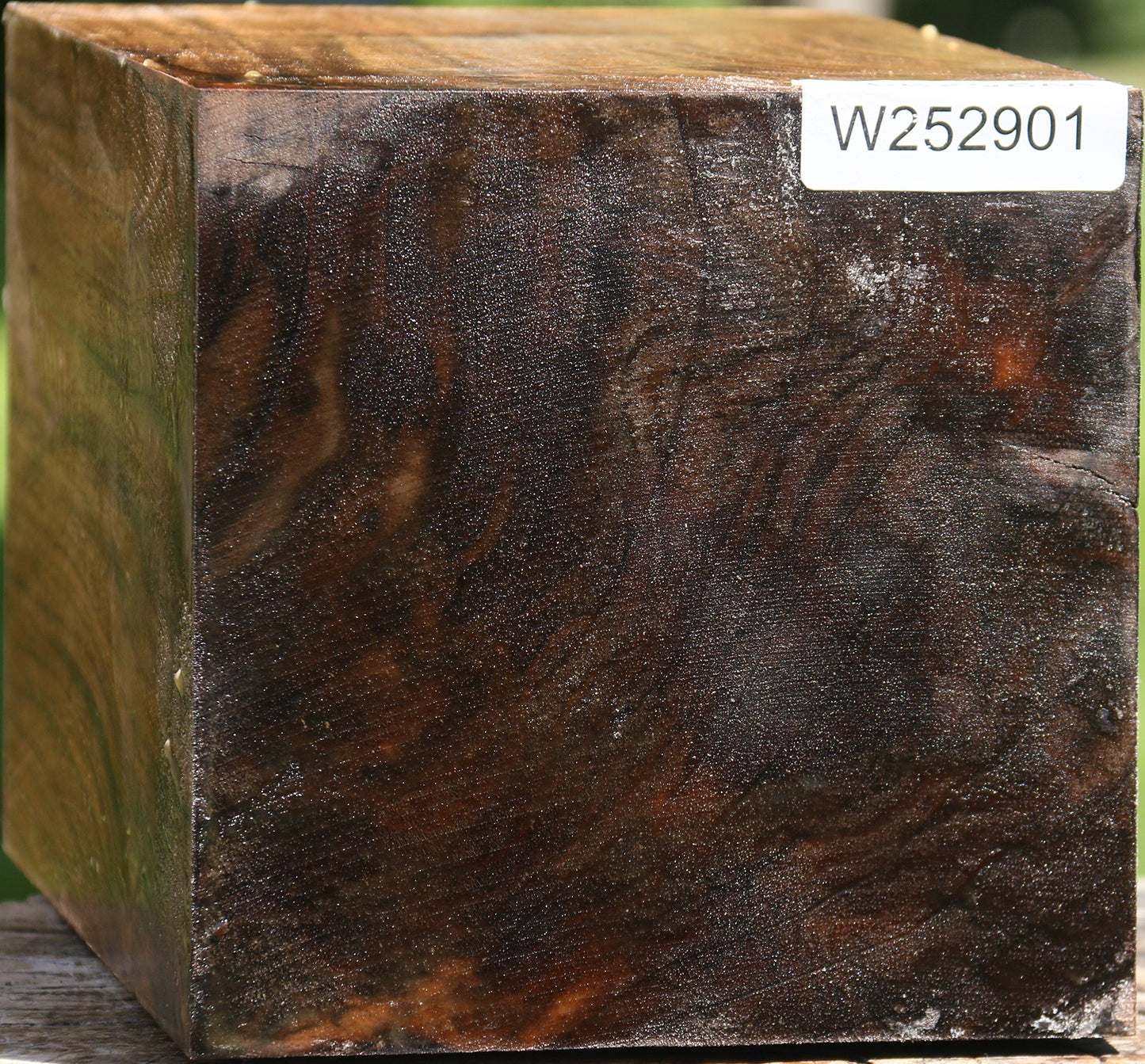 Figured Claro Walnut Vessel Blank