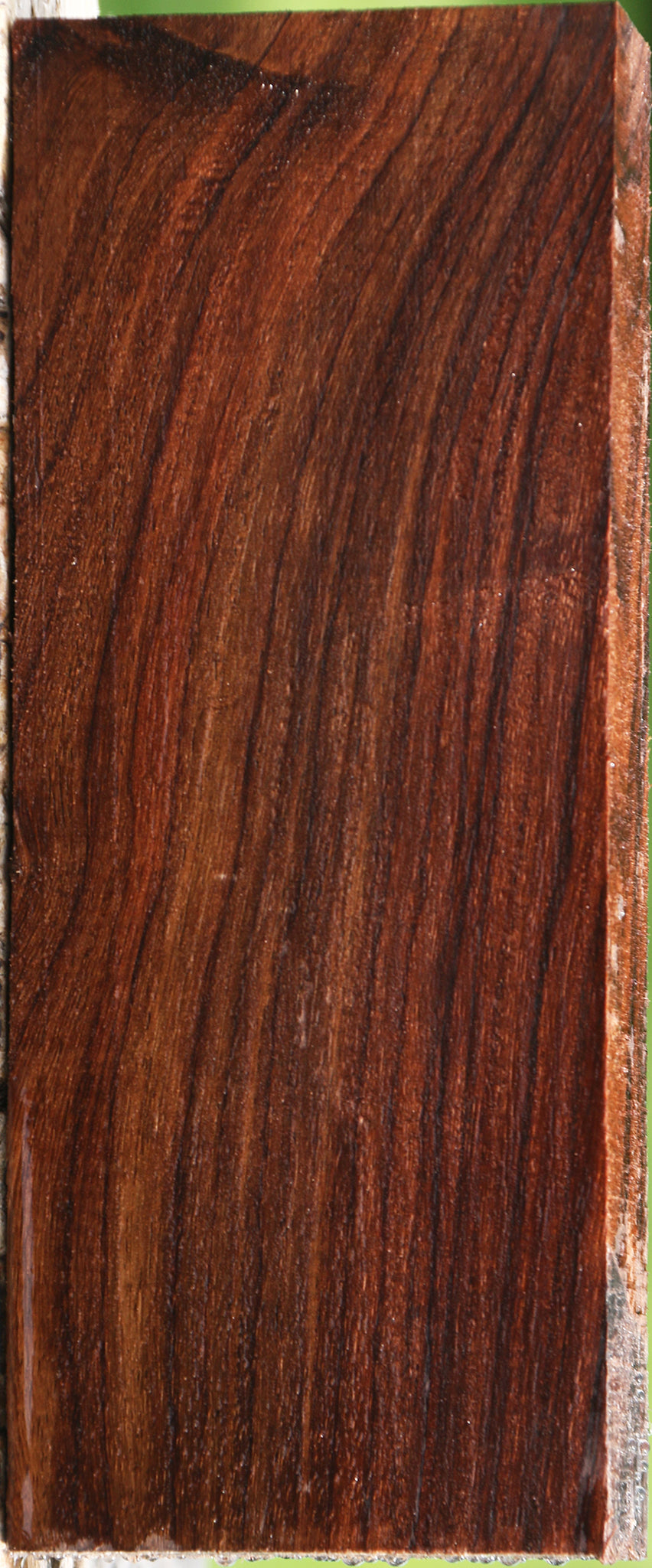 East Indian Rosewood Lumber