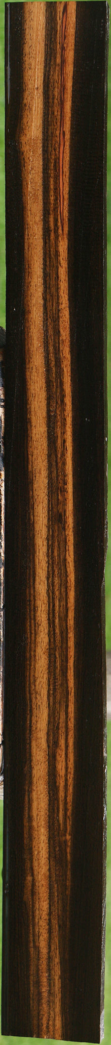 Figured Ceylon Ebony Lumber