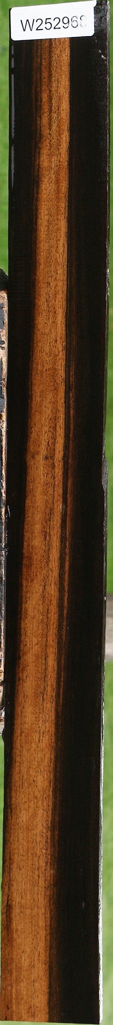 Figured Ceylon Ebony Lumber