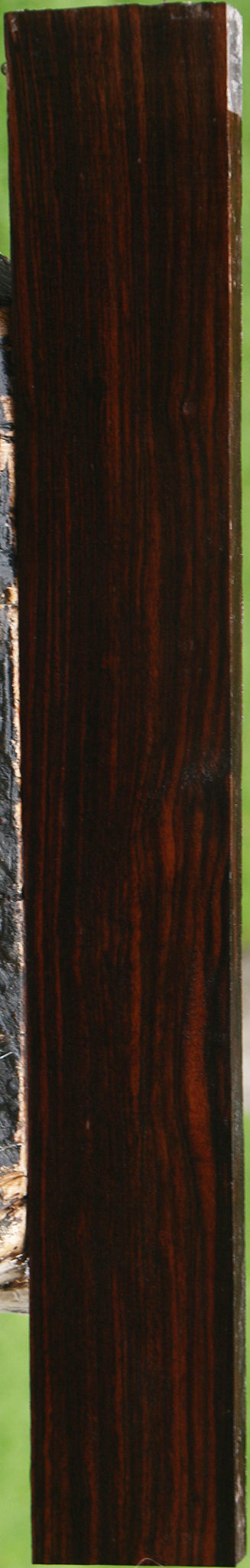 Ceylon Ebony Lumber
