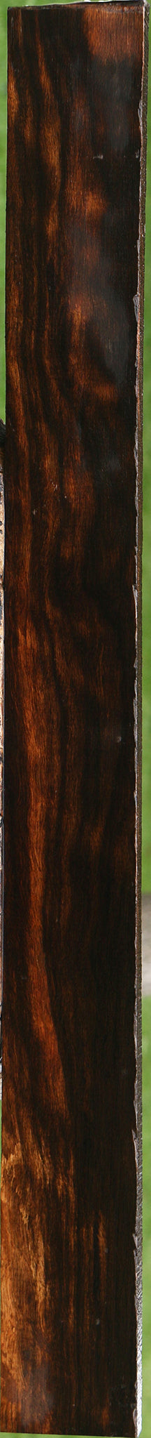 Figured Ceylon Ebony Lumber