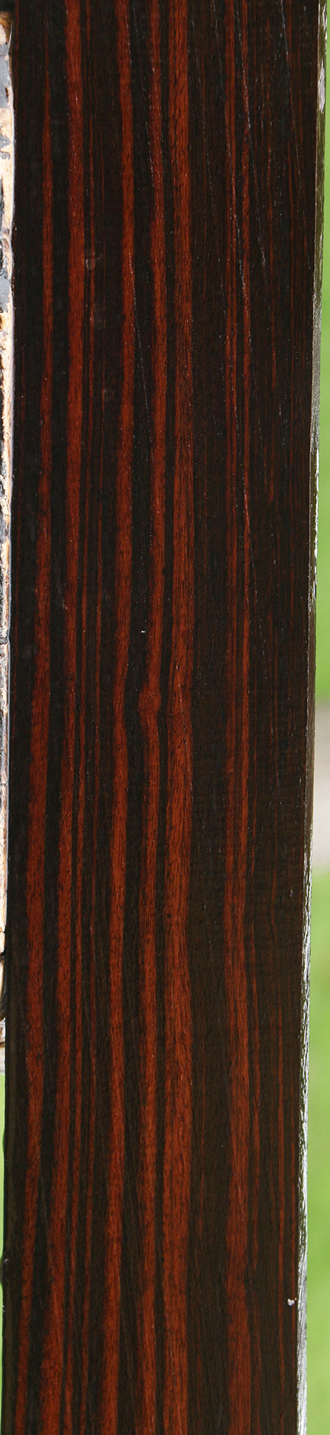 Ceylon Ebony Instrument Lumber