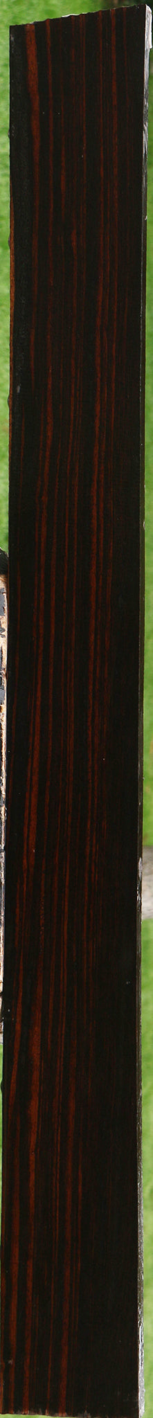 Ceylon Ebony Instrument Lumber