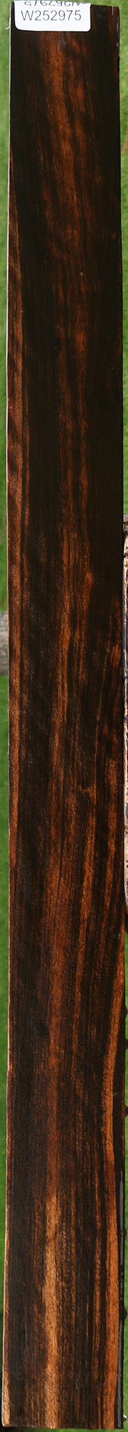 Figured Ceylon Ebony Lumber