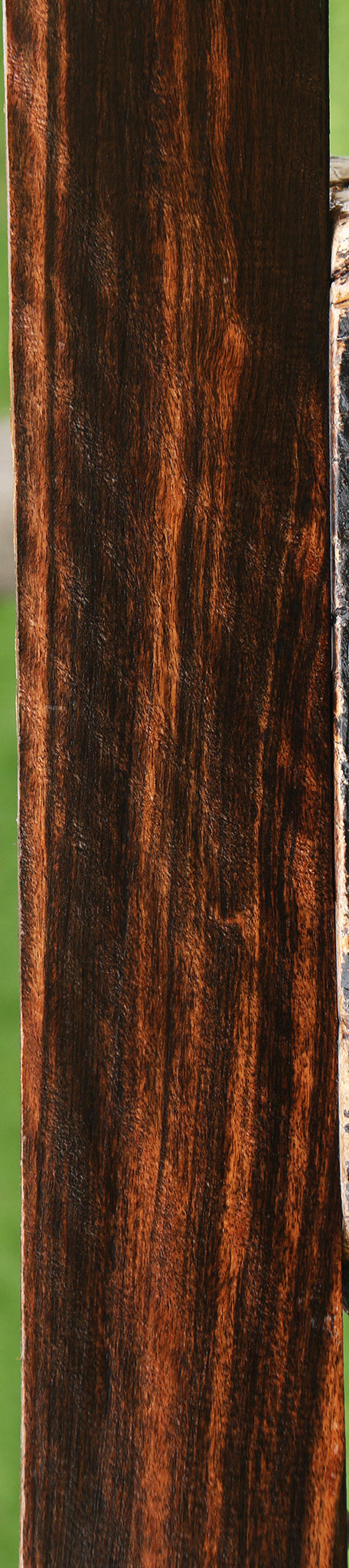 Figured Ceylon Ebony Lumber