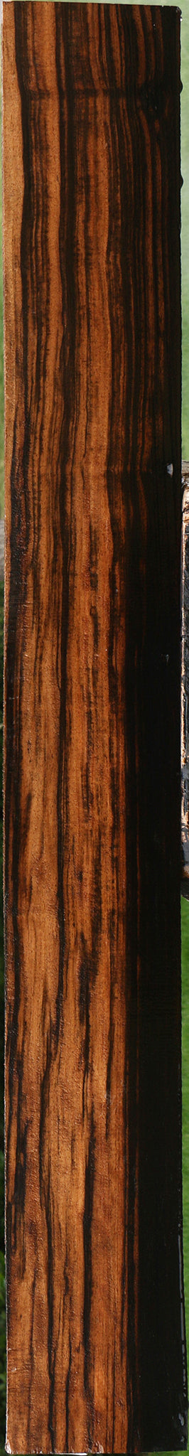 Extra Fancy Ceylon Ebony Instrument Lumber