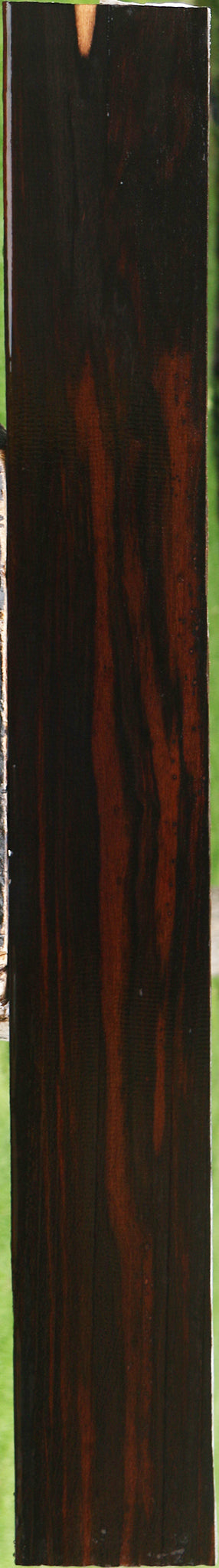 Ceylon Ebony Instrument Lumber